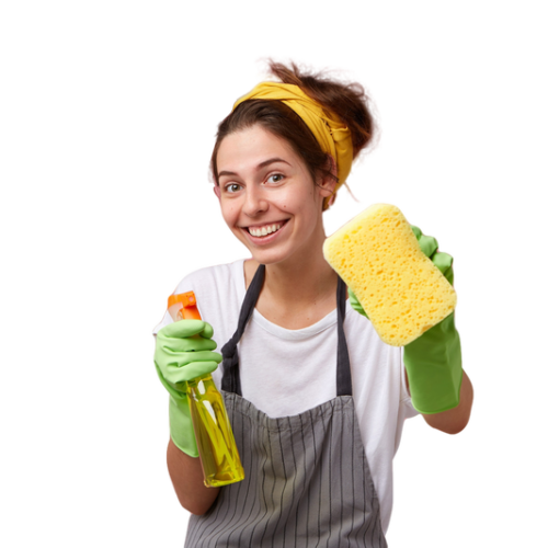 Cleaning Services